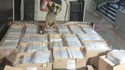 Polícia Rodoviária apreende 667 kg de maconha em caminhão na PRC-280, em Vitorino