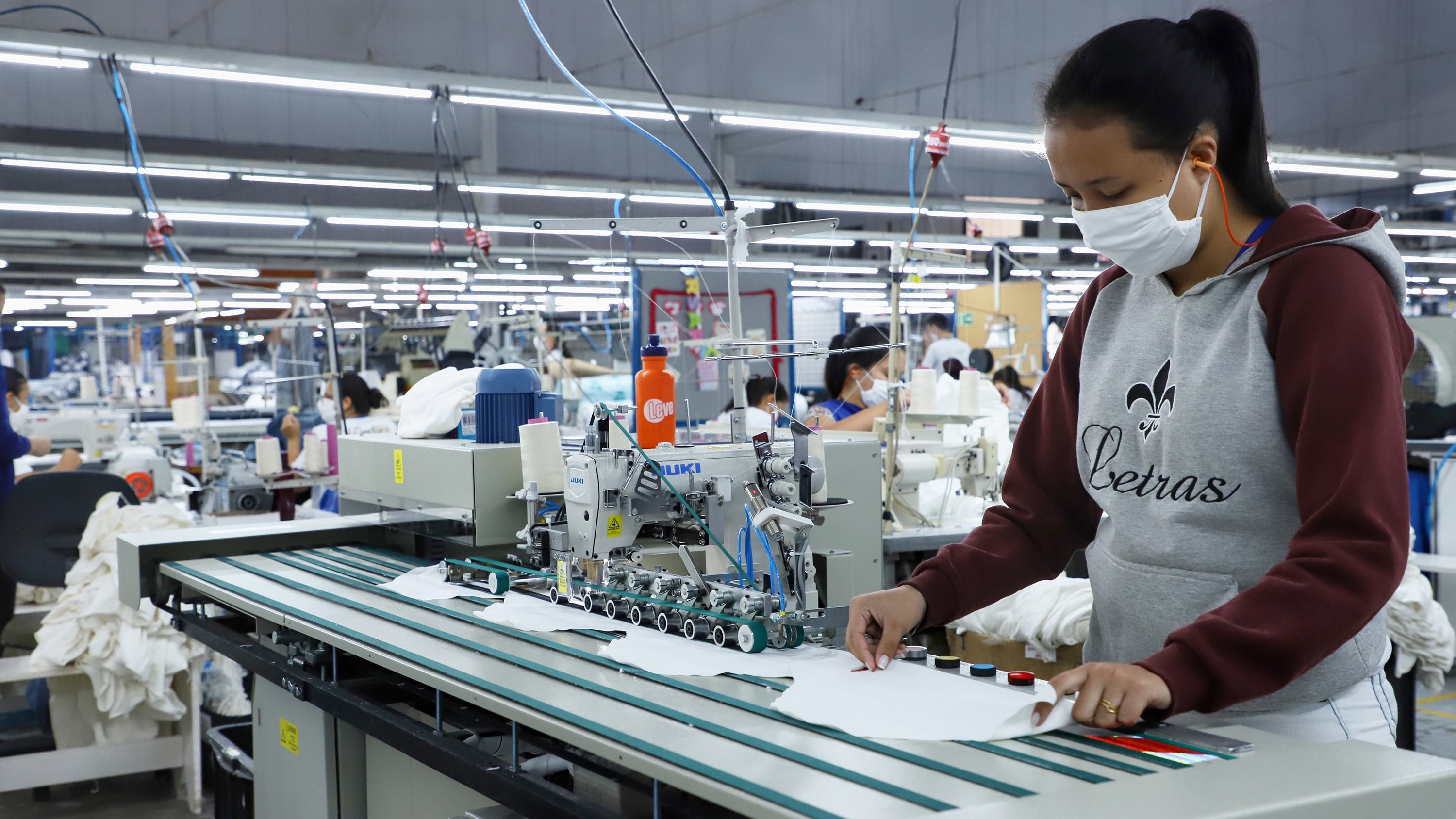 Paraná lidera colocação de mulheres no mercado de trabalho via Rede Sine em 2024