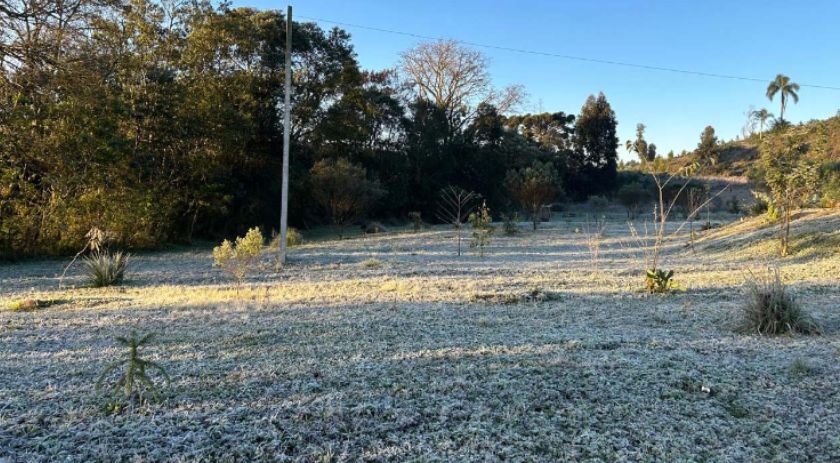 15 cidades com temperatura abaixo de zero e -5,3°C: 13 de agosto foi o dia mais frio do ano