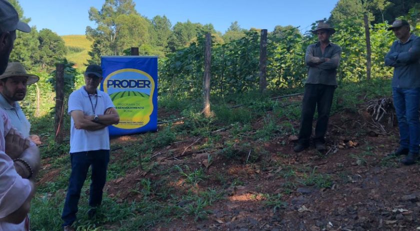 Proder orienta sobre manejo de pragas e plantas de inverno
