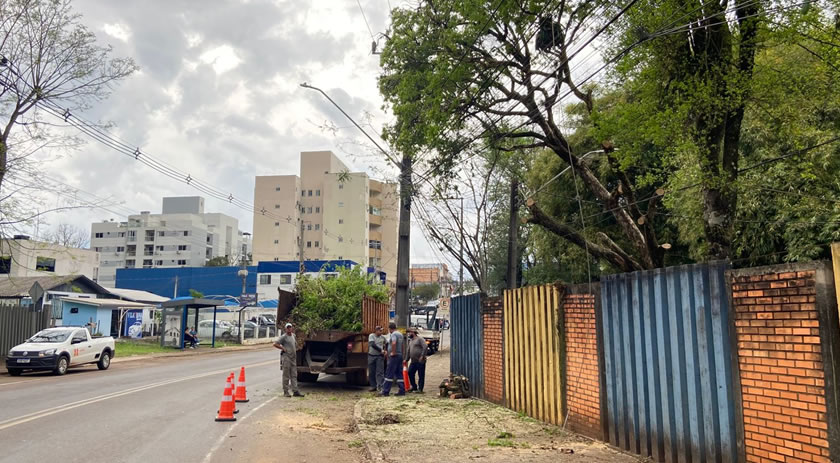 Queda de árvore no parque de exposições deixa consumidores sem energia