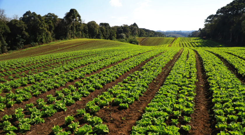Paraná é referência nacional em atividades econômicas de baixo risco ambiental