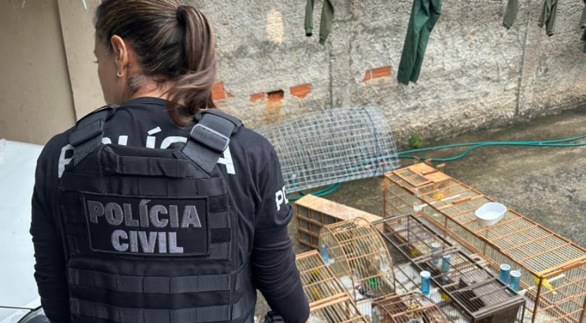 PCPR deflagra operação contra organização ligada ao tráfico de animais silvestres