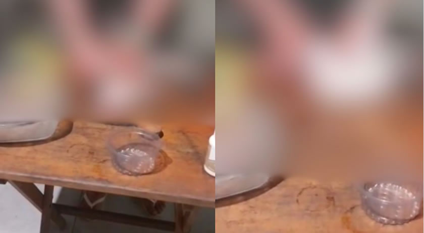 Homem é preso em SC suspeito de cozinhar cães e gatos em casa