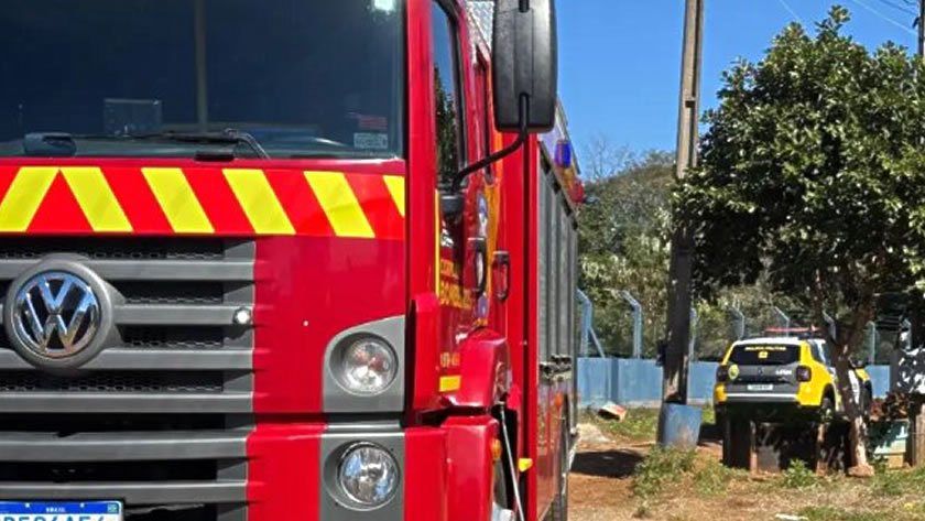 Incêndio atinge plantação de pinus e vigilante assume ter iniciado fogo