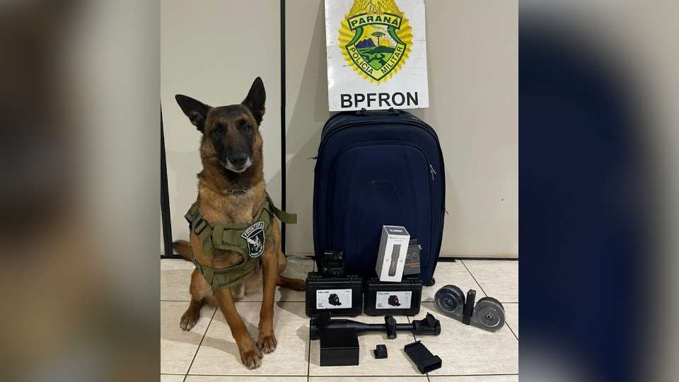 Cão Farejador ajuda a localizar miras e carregadores de fuzil em bagagem de passageira