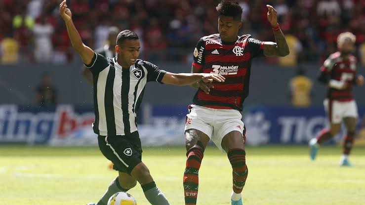 Botafogo vence e complica ainda mais situação do Flamengo