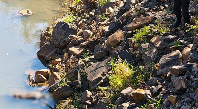 Corpo é encontrado em avançado estado de decomposição no Rio Marrecas