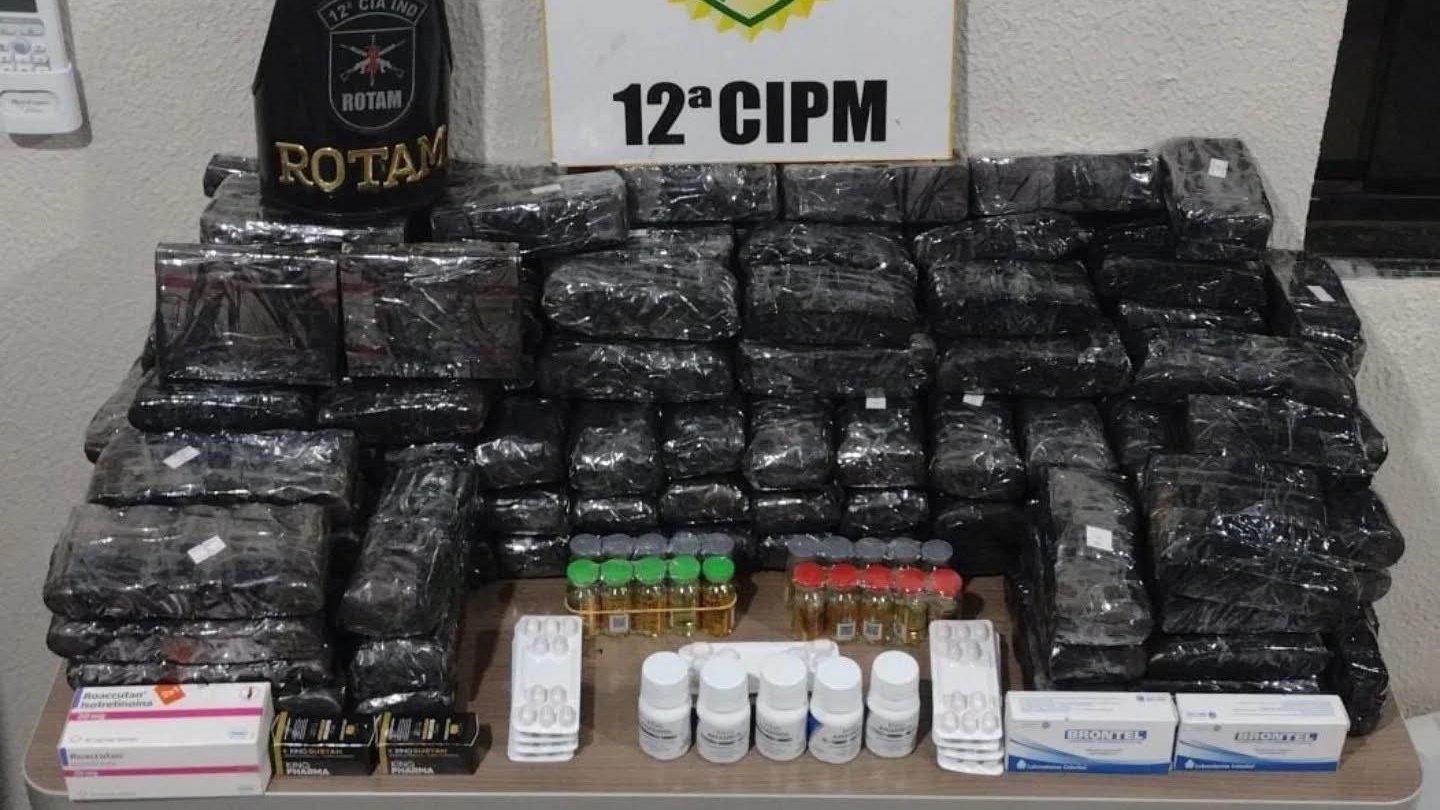 Polícia Militar apreende anabolizantes e medicamentos falsificados em abordagem na Rodovia 449 em Palmas/PR