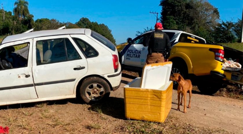 Polícia Militar apreende mais de 700 quilos de drogas em operações no Interior
