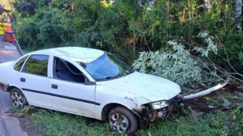 Condutor colide em árvore na PR-180 entre Francisco Beltrão e Marmeleiro