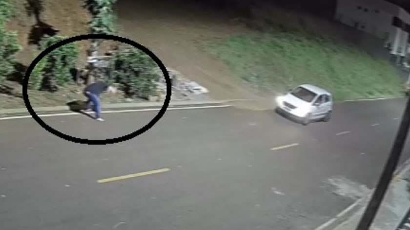 Flagrante de maus-tratos a animais causa revolta e indignação