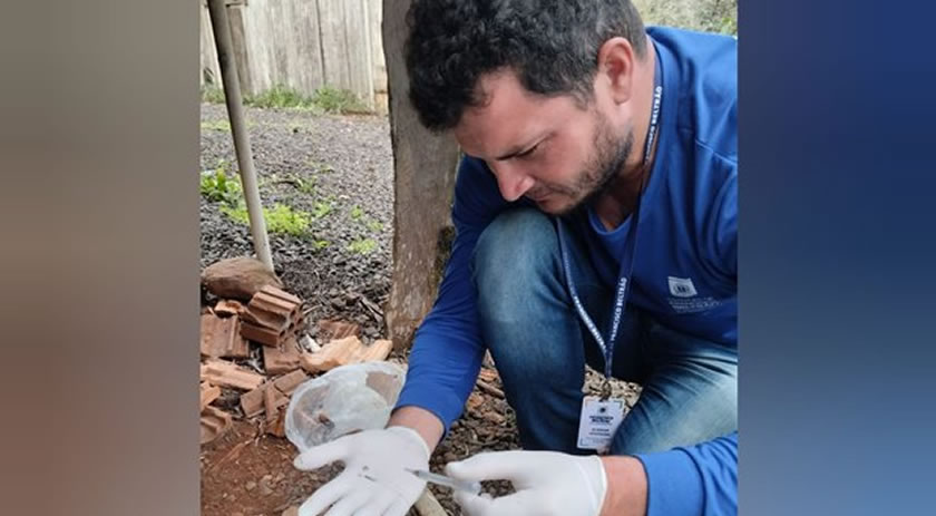 Agentes vão mapear infestação do Aedes aegypti nos bairros
