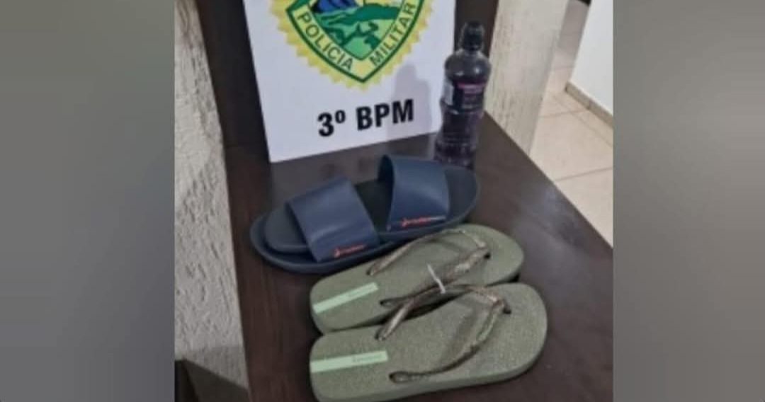 Mulher furta dois pares de chinelo e é detida pela Polícia