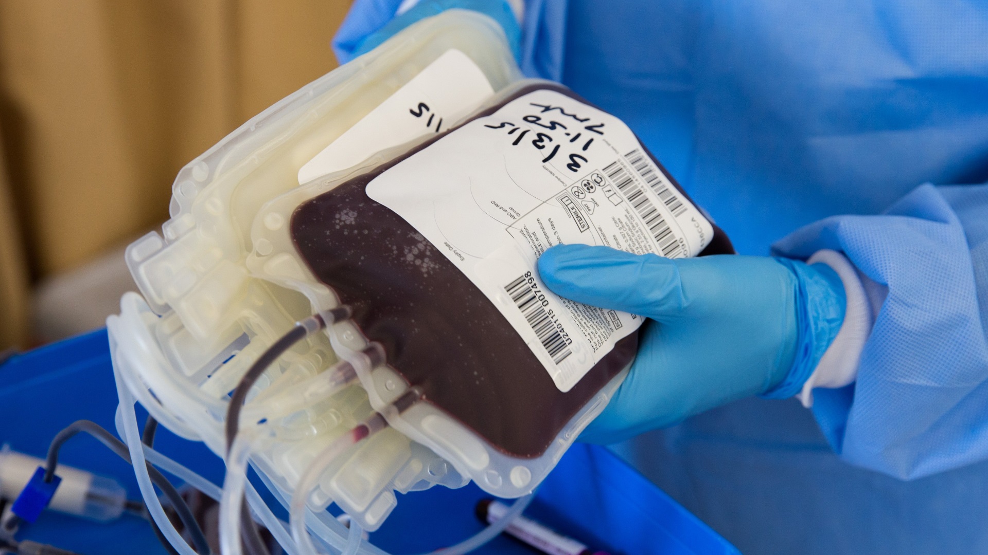Estoque de sangue no Hemonúcleo de Francisco Beltrão é considerado estável