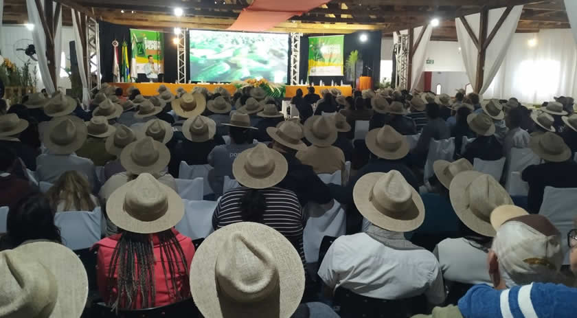 Produtores e técnicos participam de simpósio sobre cultivo de pepino