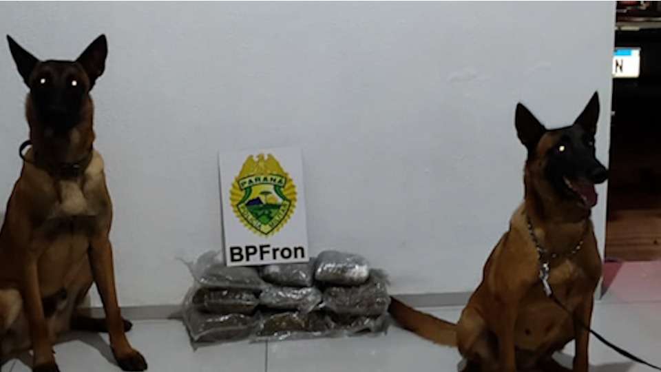 Mulher é presa com quase 5 kg de capulho em ônibus interestadual no Paraná