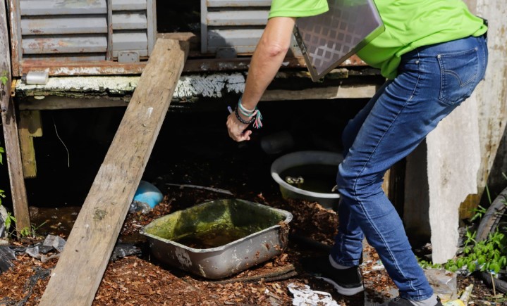 Infestação do Aedes Aygipti cai em Francisco Beltrão após quatro meses