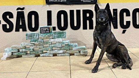 Polícia Rodoviária de São Lourenço do Oeste apreende mais de 30 kg de crack em caminhão na SC-157