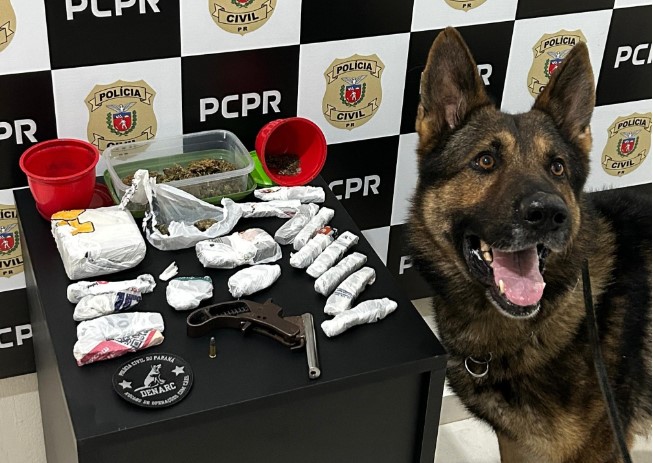 Homem é preso por tráfico de drogas e posse irregular de arma arma de fogo