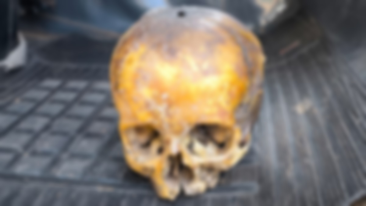 Suposto crânio humano é encontrado em lixeira no Bairro Vila Nova