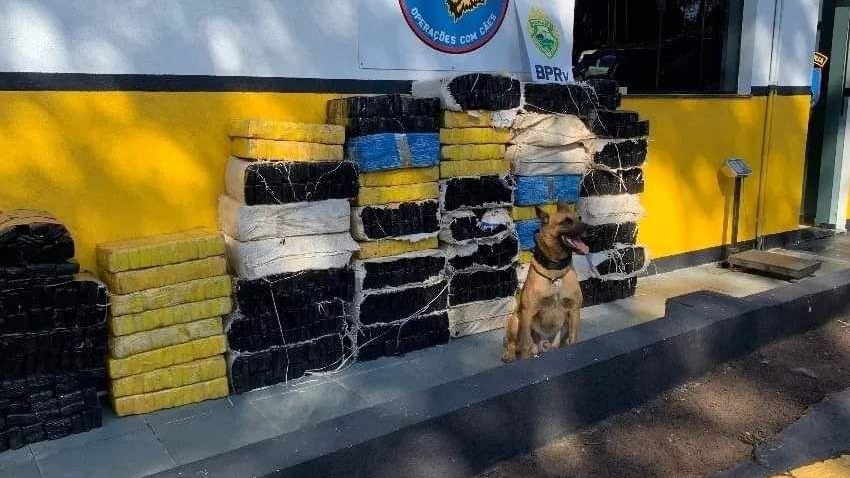 Homem é preso com mais de 800kg de maconha na PR 586