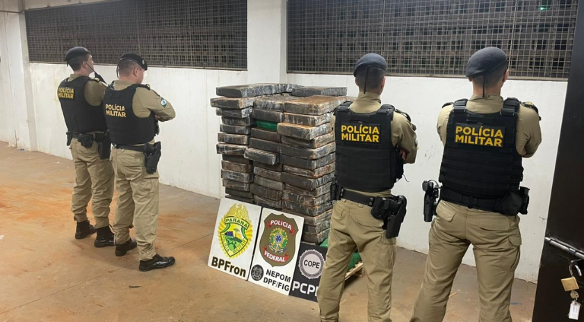 Forças de segurança encontram tonelada de maconha escondida em mata