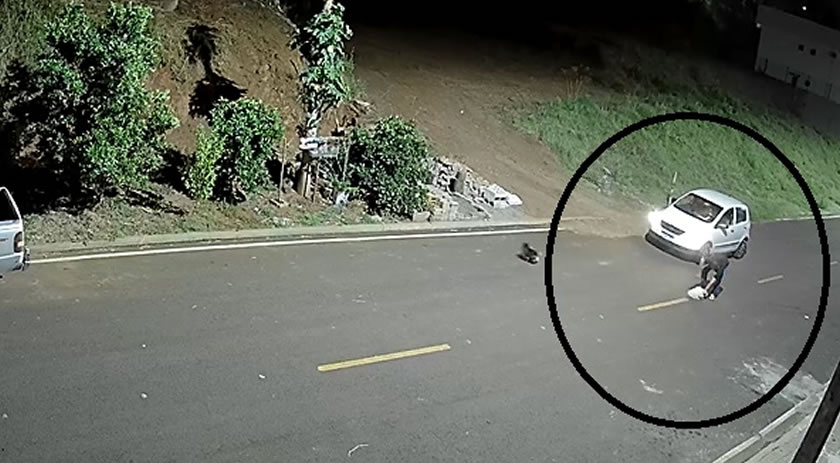 Polícia Civil identifica e indicia homem por maus-tratos a cães no bairro São Cristovão