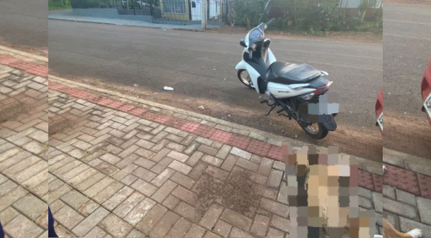 Motociclista fica ferida após atropelar cachorro no bairro Seminário