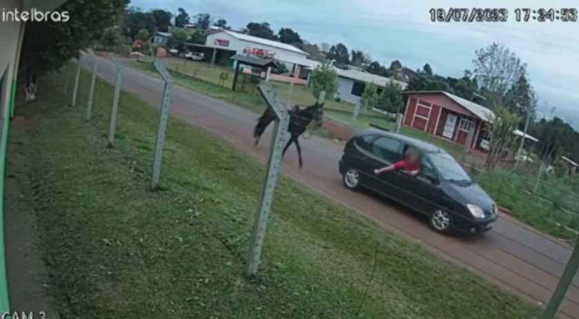 Passageiro de carro furta cavalo no KM 20; Polícia divulga imagens para encontrar suspeito