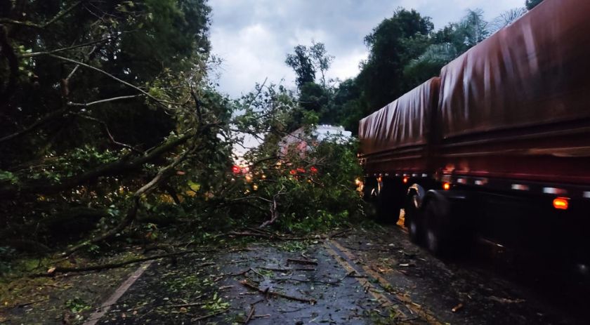 Sudoeste tem chuva de granizo e queda de árvores na pista; áreas estão sob alerta meteorológico