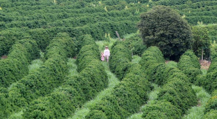 Banco do Agricultor Paranaense já financiou R$ 646 milhões em 4.180 projetos