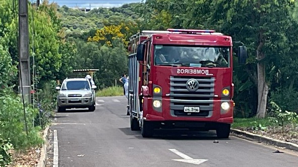 Homem é atacado por enxame de abelhas e fica em choque anafilático
