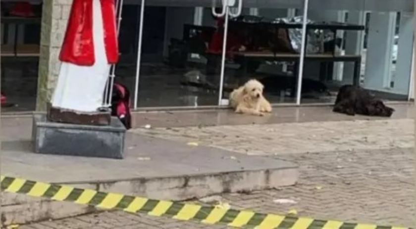 Homem é encontrado morto em capela da Igreja Matriz de São Lourenço do Oeste