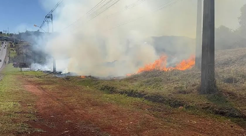 Incêndio em vegetação mobiliza Corpo de Bombeiros