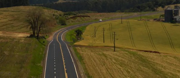 EPR Iguaçu inicia processo de regularização de plantios em faixa de domínio no Oeste e Sudoeste do Paraná