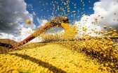 Brasil atinge novo recorde com 350 milhões de toneladas de grãos