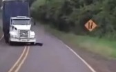Vídeo flagra momento em que caminhão perde controle e quatro pessoas morrem em batida frontal; assista