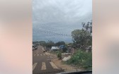 Homem é baleado durante cumprimento de mandado de prisão