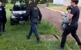Tutor é preso após cachorro ser encontrado com ferimentos graves na região genital e é liberado após pagar fiança