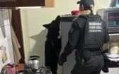 Operação prende 21 suspeitos de integrar organização criminosa no Paraná, SC e SP