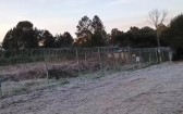 Nova geada e temperaturas de -2° C em Palmas