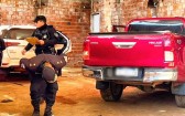 Polícia argentina apreende duas caminhonetes roubadas no Brasil em operação na fronteira