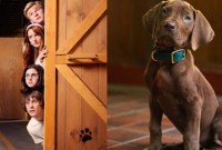 Netflix revela primeira imagem de Scooby-Doo em nova série live-action