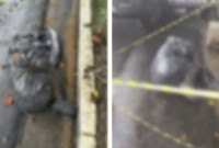 Polícia apura série de mortes suspeitas de execução em SP; corpos foram ensacados, decapitados ou queimados