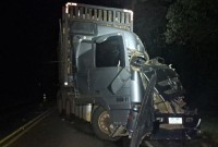 Caminhão de Francisco Beltrão se envolve em acidente na PRC-466