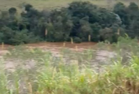 Corpo de mulher é encontrado boiando em rio no Meio-Oeste de Santa Catarina