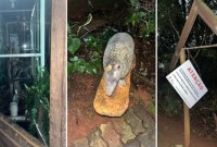 Mulher danifica objetos públicos nas proximidades do Bosque Municipal