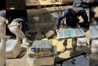 PRF apreende 2,6 toneladas de maconha escondidas em carga de madeira na BR-277