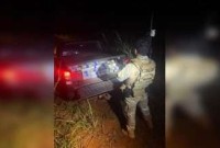 Mais de 400 kg de maconha são apreendidos pela PF e PM